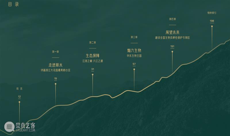 江南最后的秘境，凭什么是丽水？ 崇真艺客