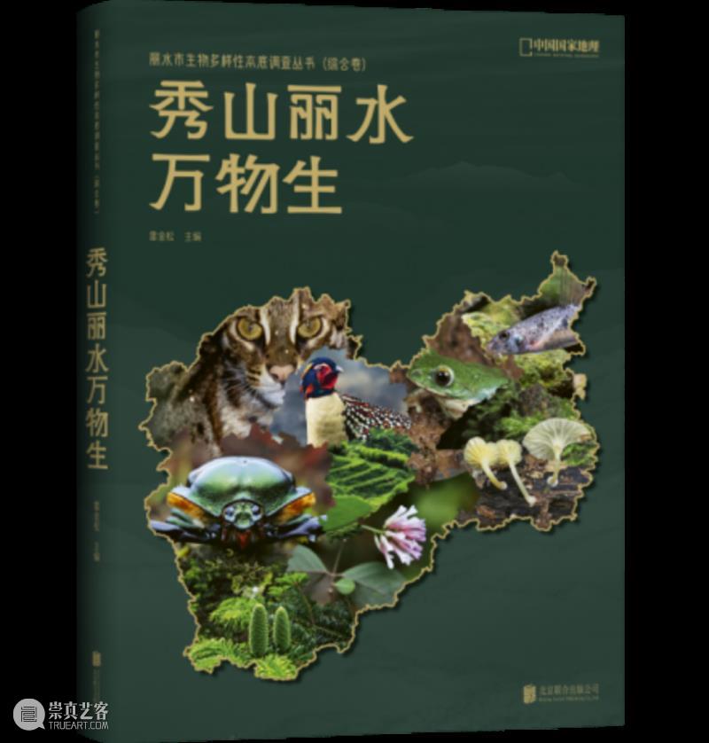 江南最后的秘境，凭什么是丽水？ 崇真艺客