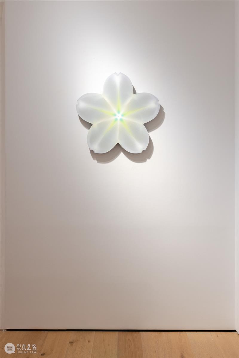 艺术家访谈｜李姝睿：我的绘画是时空中现实和感受的精炼记录 崇真艺客