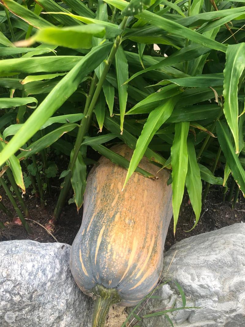 艺术家访谈｜李姝睿：我的绘画是时空中现实和感受的精炼记录 崇真艺客