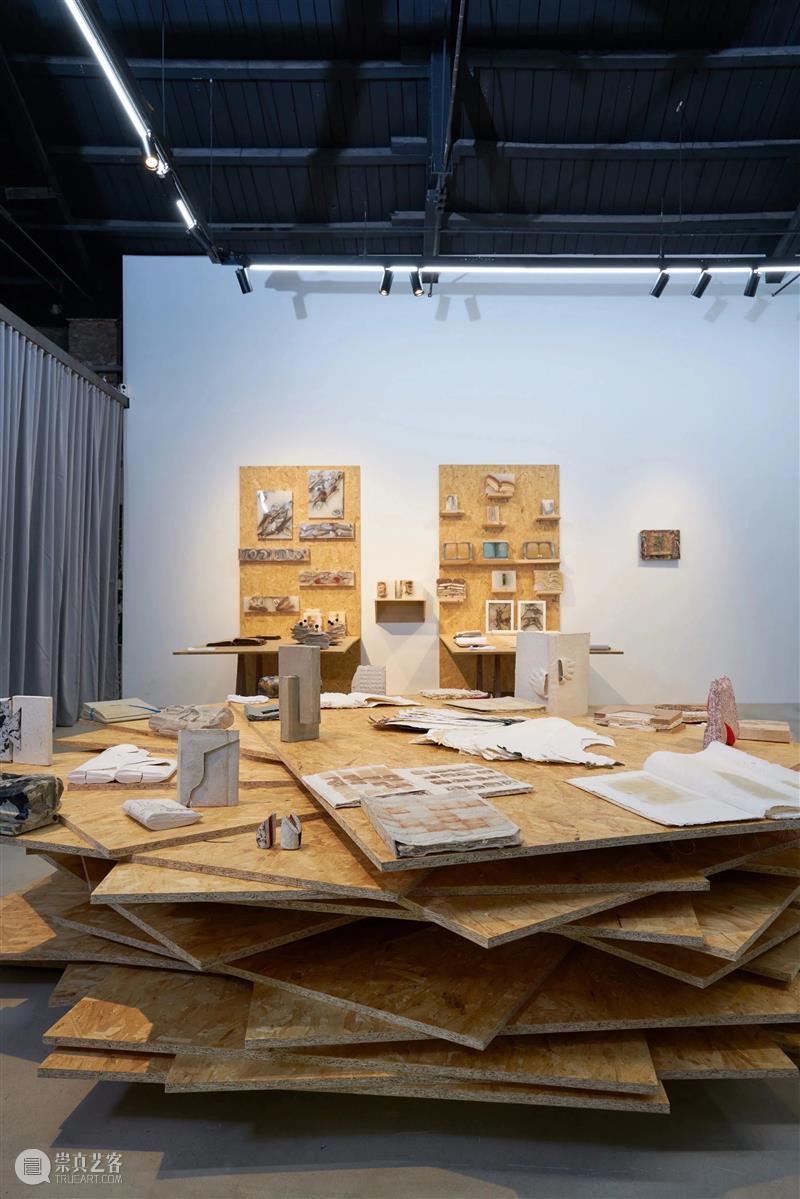 户尔艺术家 | 多萝西娅·里斯-汉姆 崇真艺客