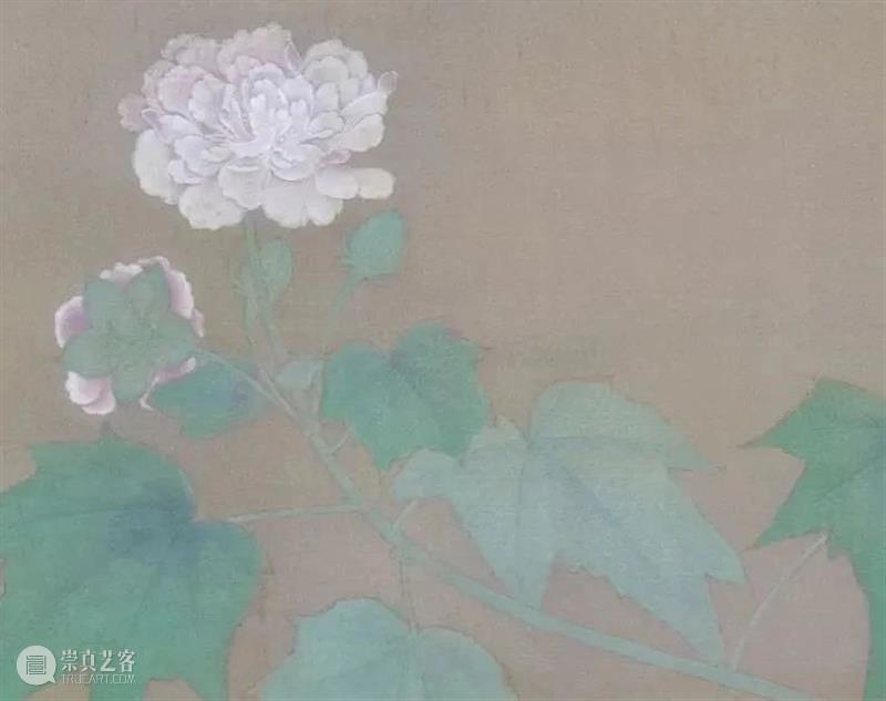 教学 │ 美人如玉在云端——宋人芙蓉研习课题(上)临摹 崇真艺客