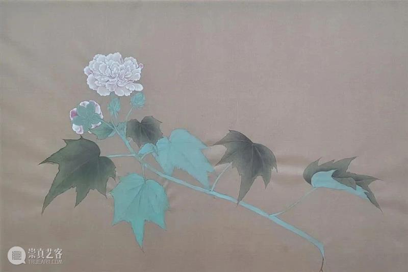 教学 │ 美人如玉在云端——宋人芙蓉研习课题(上)临摹 崇真艺客