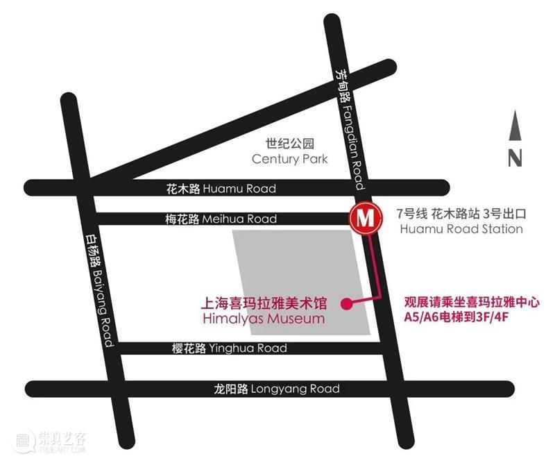聆听四季 圣诞音乐会 | 西方美术史·时尚秀 崇真艺客