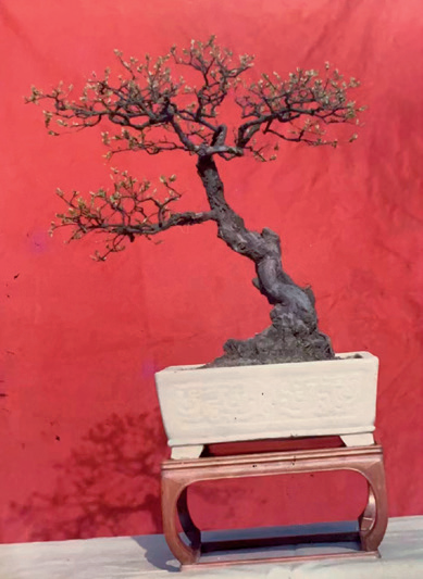 文房砚石精览 | 中贸圣佳2022秋拍 崇真艺客