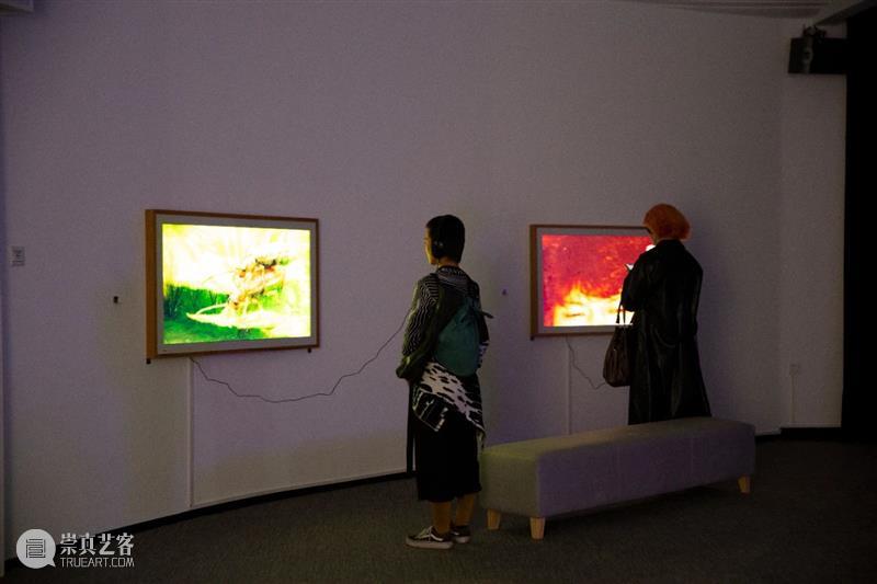 【开幕回顾】桂湖美术馆——《他们》 崇真艺客