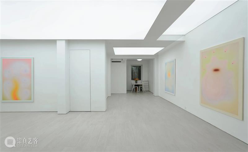 KennaXu艺术家访谈|艾琳娜·伯克纳(Alina Birkner) 崇真艺客