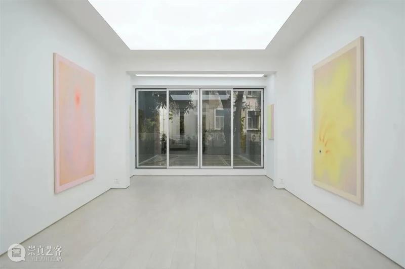 KennaXu艺术家访谈|艾琳娜·伯克纳(Alina Birkner) 崇真艺客