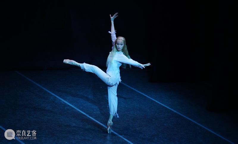 中国原创芭蕾舞剧《白毛女》电子节目册 崇真艺客