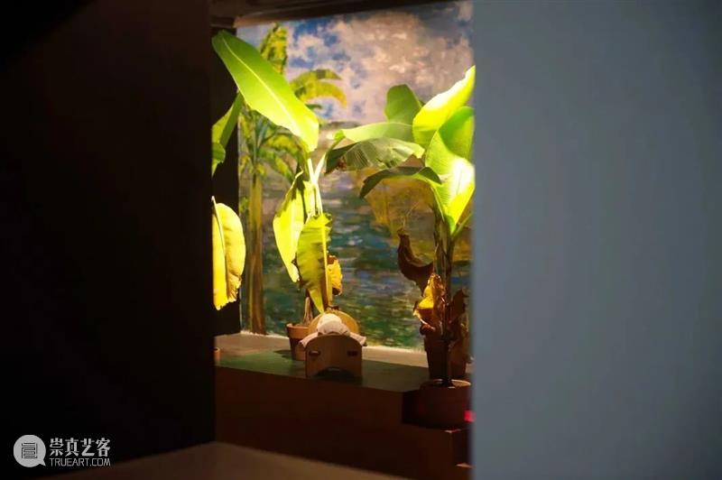 展览知乎 | 香丹:我的童年力量 崇真艺客