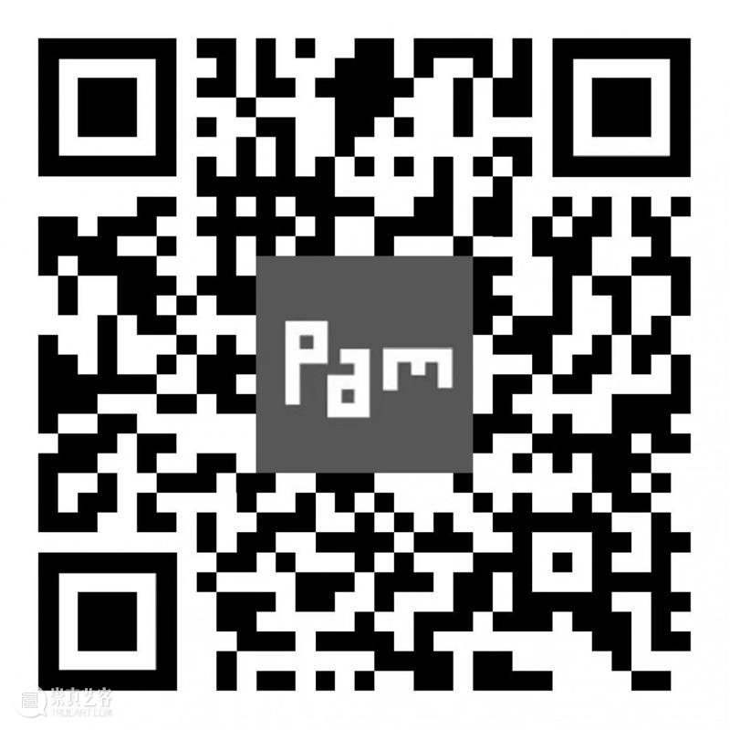 PAM访谈|王辉：去实现一个自己认可的社会环境 博文精选 PAM 崇真艺客