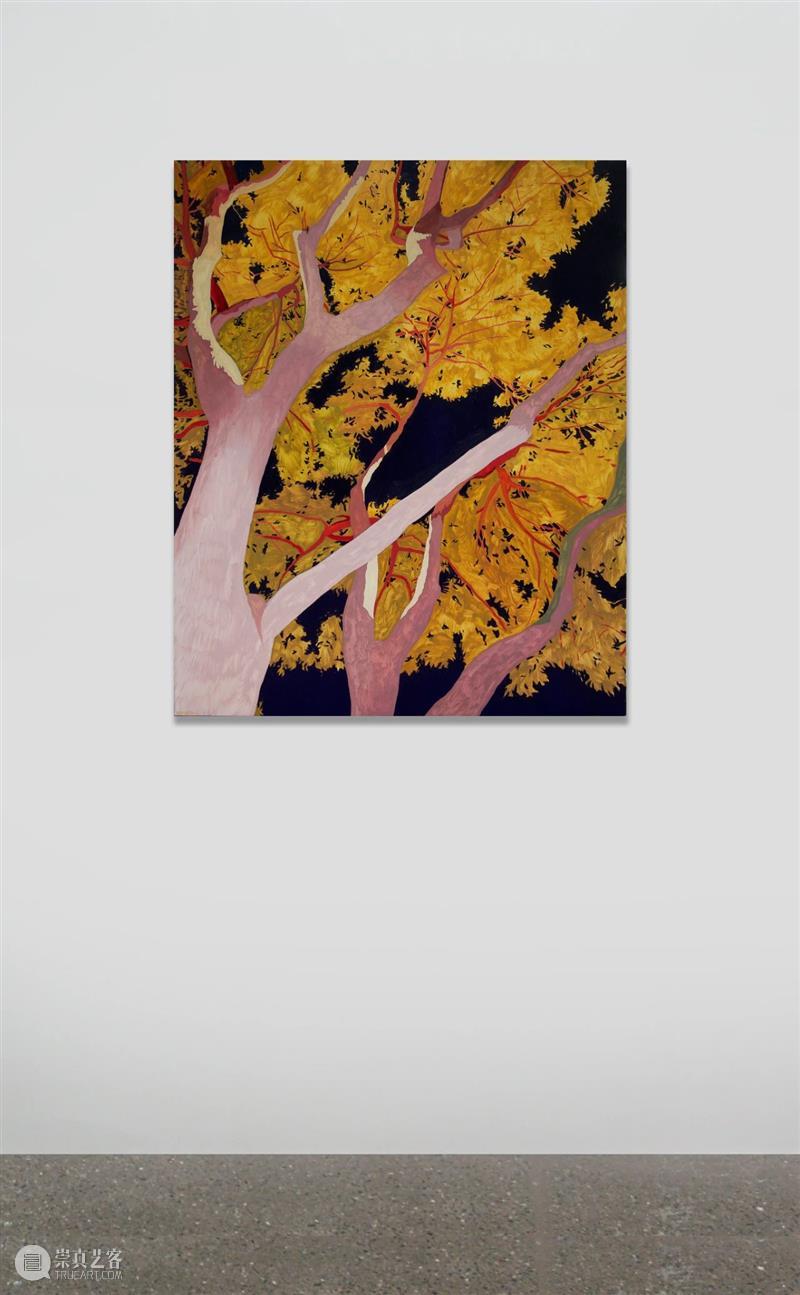 拾萬石家庄｜风景画｜刘鹏 崇真艺客