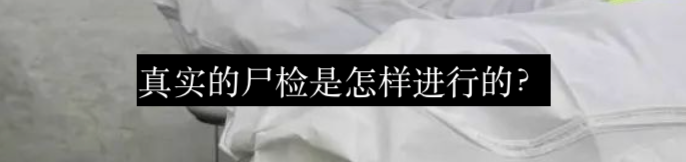 在巴黎,曾有座充满争议的死亡陈列博物馆 崇真艺客