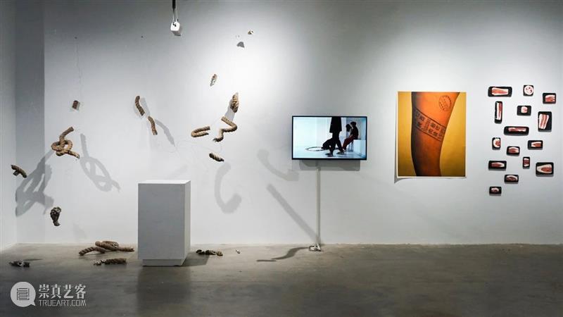 【征集】2023无界艺术展 Open Call｜厦门 崇真艺客
