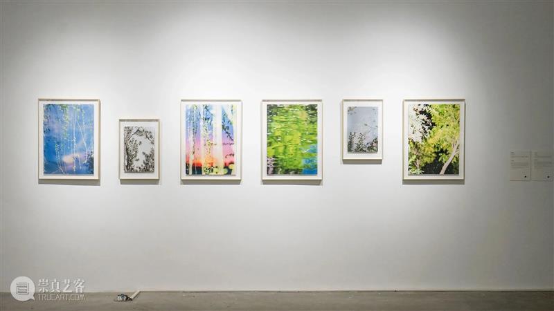【征集】2023无界艺术展 Open Call｜厦门 崇真艺客