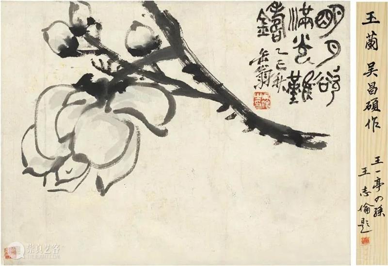 吴昌硕“写”玉兰，豪放中见性情 崇真艺客