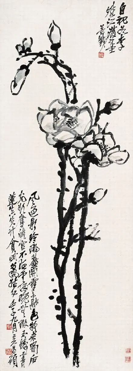吴昌硕“写”玉兰，豪放中见性情 崇真艺客