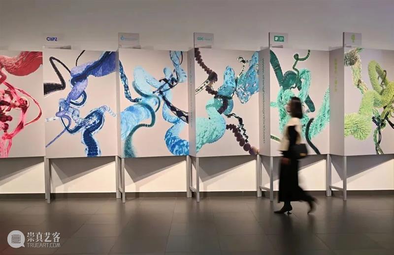 活动|“上海设计10×10”全球大奖展设计领袖论坛在线举行 崇真艺客