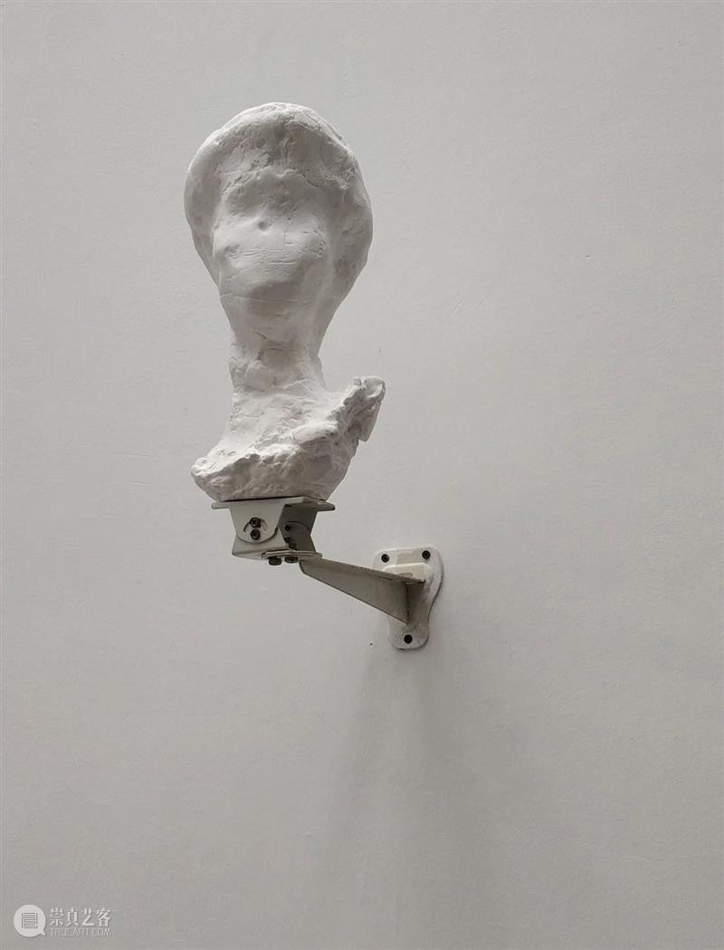 基业艺术|「生长」青年艺术家邀请展——艺术家方阳 崇真艺客