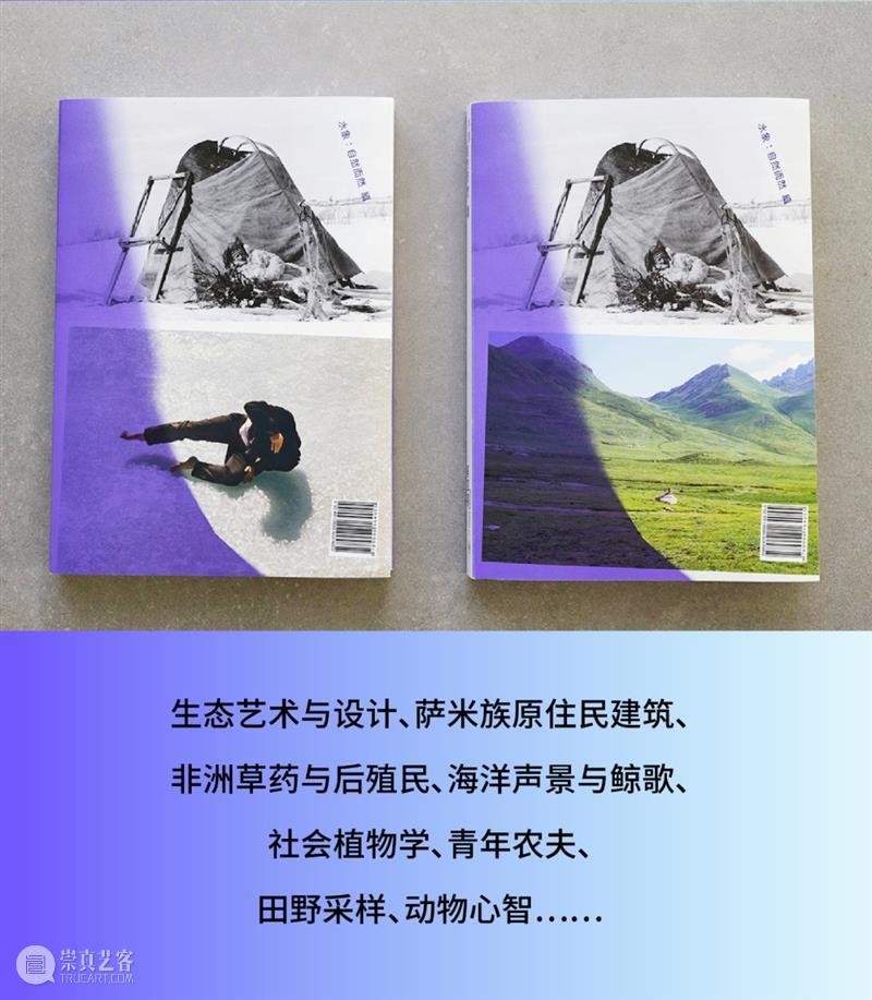 陪伴·前行 ｜BCAF2022年报 崇真艺客