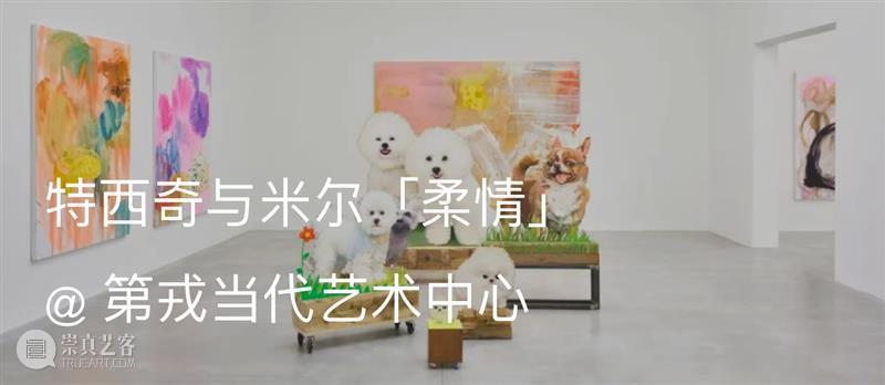 爱丽丝·安德森、李青和特西奇与米尔参展2022北京双年展｜AR艺术家 崇真艺客