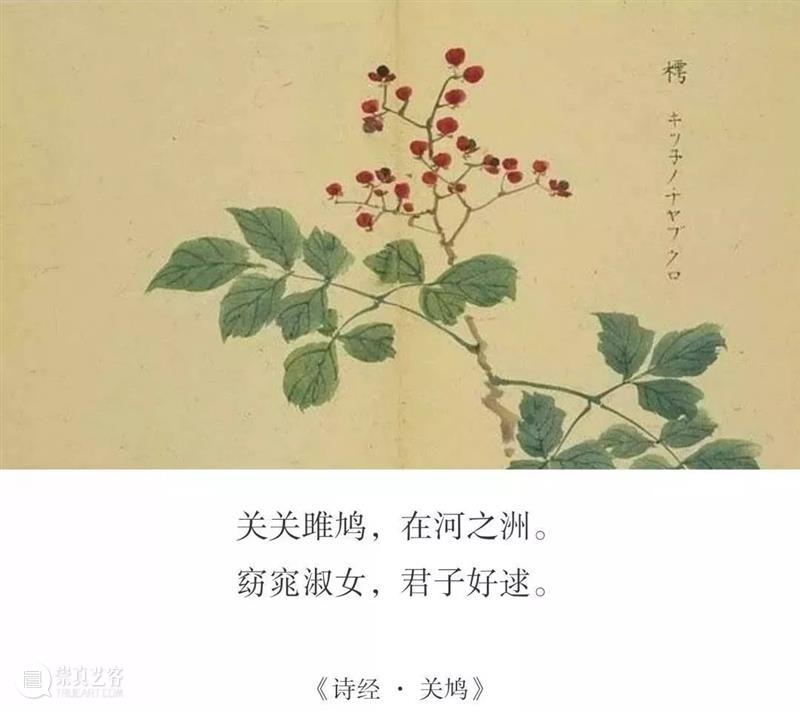 从《诗经》到《红楼梦》:10位复旦教授解读3000年人文经典 崇真艺客
