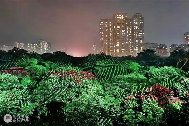 皓夜奇遇217件有趣灵魂，深圳最受欢迎地标来了！ 崇真艺客