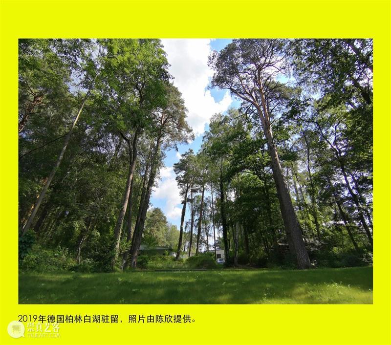 第四届花家地双年展 | 陈欣的诗与歌 崇真艺客