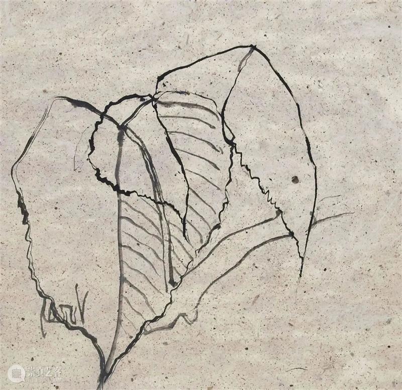 一叶一菩提 一画一世界 | 国家美术·关注 崇真艺客