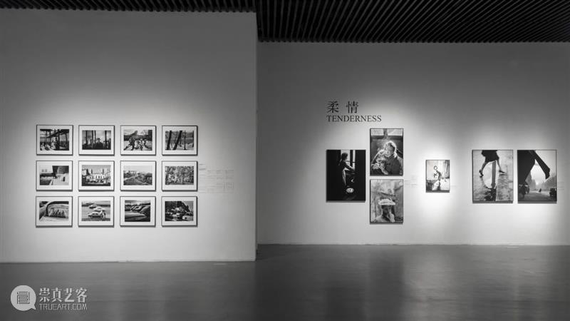 PLM展览 | “永恒的巴黎”维利·罗尼摄影展福利政策来啦！ 崇真艺客