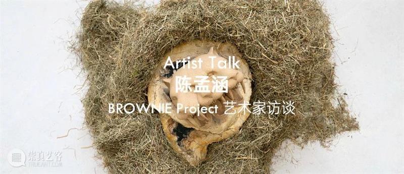Artist Talk | 金赞颂：感知肉身的边界 崇真艺客