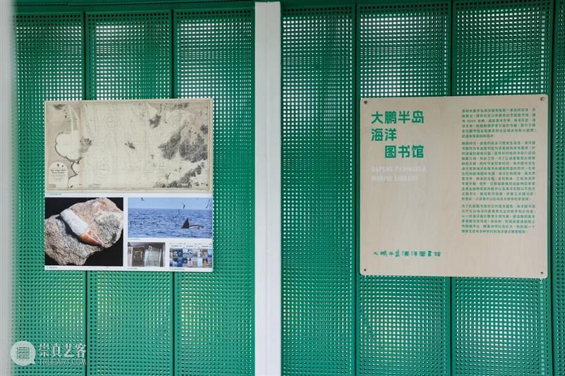 艺能永续:NGO集结社会力量探索生态平衡|BCAF艺术公益 崇真艺客