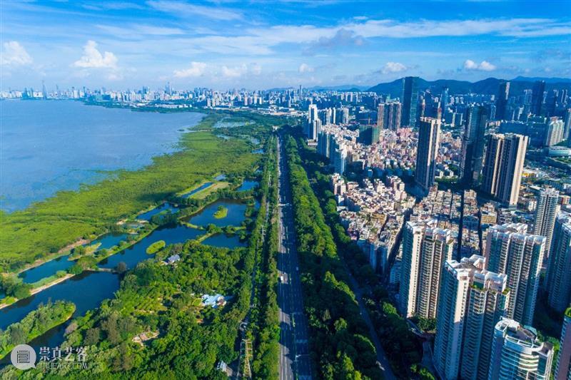 艺能永续:NGO集结社会力量探索生态平衡|BCAF艺术公益 崇真艺客