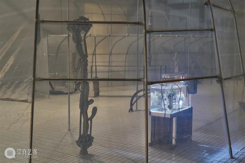 新闻 | 张如怡北京UCCA尤伦斯当代艺术中心个展“低声细语” 崇真艺客