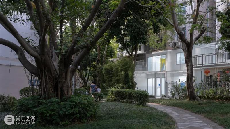 Hi艺术|KennaXu,深圳本地最国际化的画廊是如何炼成的? 崇真艺客