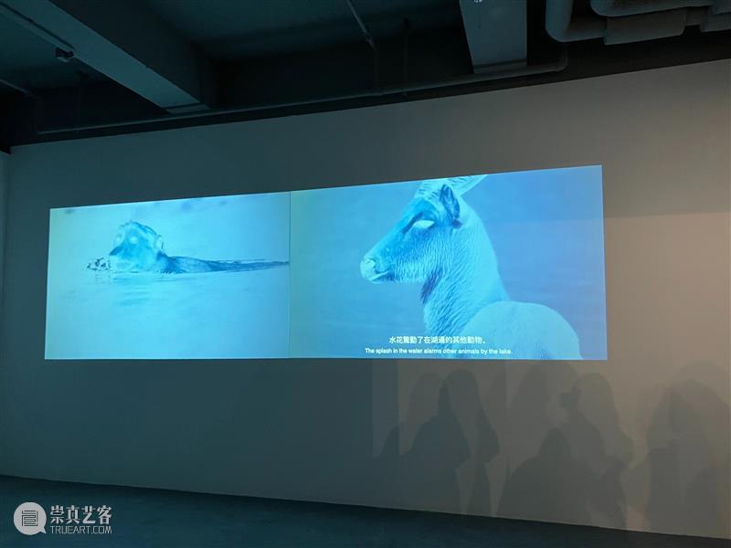 户尔动态 | 范尼·吉奎尔、陈丹笛子参展2022首届北京艺术双年展 崇真艺客