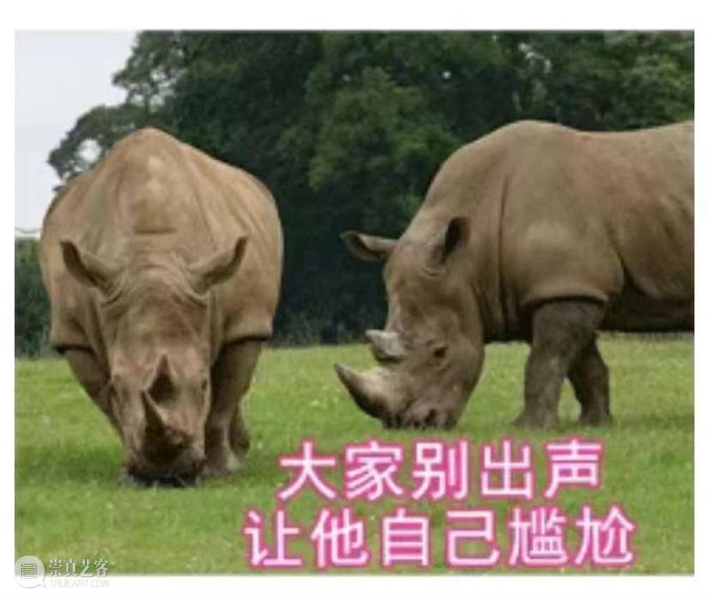 蚌埠住了，天津美术学院初试变成了动物世界！太好笑了…阅卷老师应该会笑哭吧~ 崇真艺客