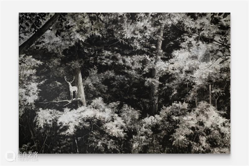 开幕现场 | 周子曦个展“合奏”于今日开幕 崇真艺客