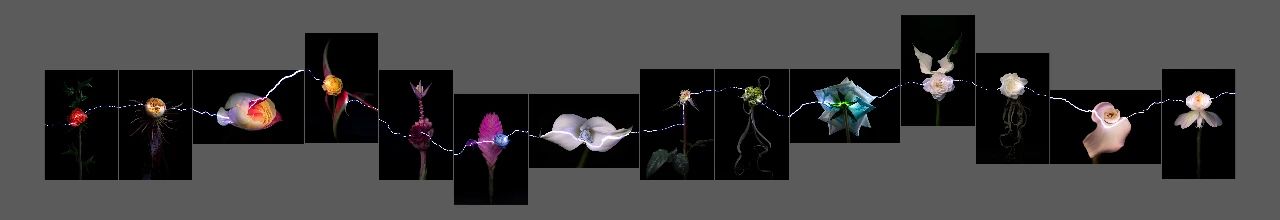 HdM·通知｜春节放假安排 崇真艺客