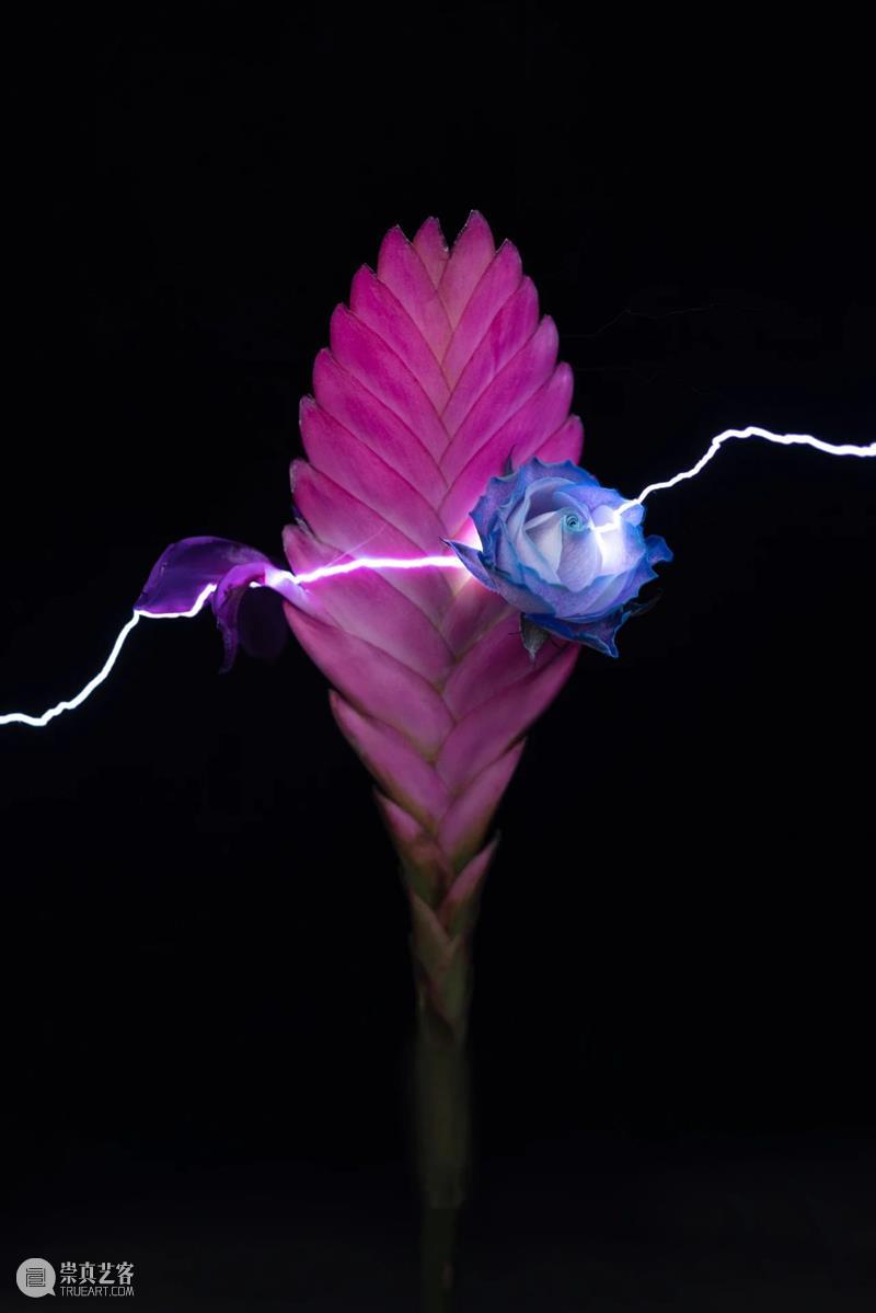 HdM·通知|春节放假安排 崇真艺客