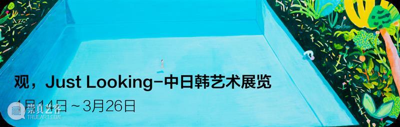 正在展出丨观,Just looking——中日韩艺术联展 崇真艺客