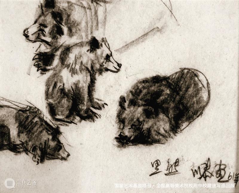 作品概览 | 《全国高等美术院校附中校藏速写巡回展》北京站 · 中国美术学院附中 崇真艺客