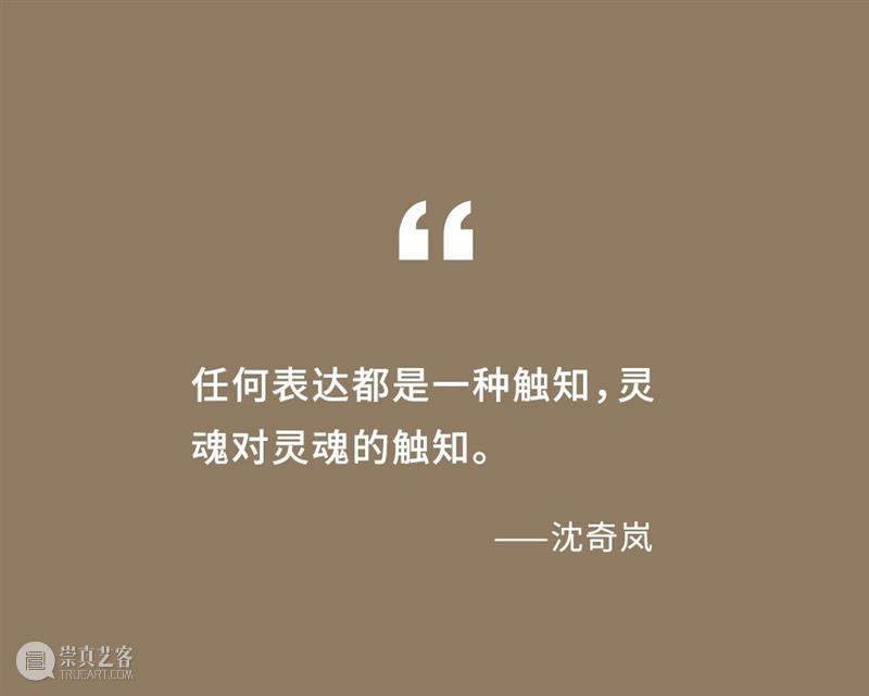 沈奇岚：凝聚艺术微光照亮世界 视频资讯 沈奇岚 沈奇岚 崇真艺客
