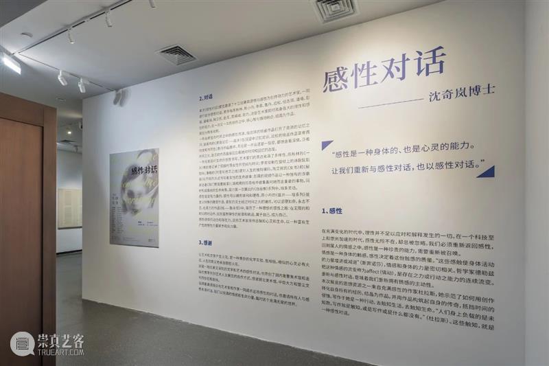 沈奇岚：凝聚艺术微光照亮世界 视频资讯 沈奇岚 沈奇岚 崇真艺客