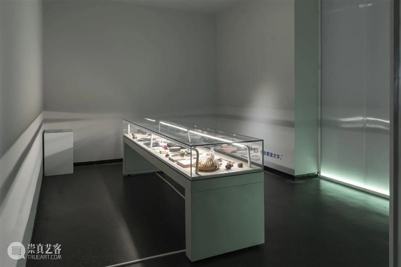 沈奇岚：凝聚艺术微光照亮世界 视频资讯 沈奇岚 沈奇岚 崇真艺客