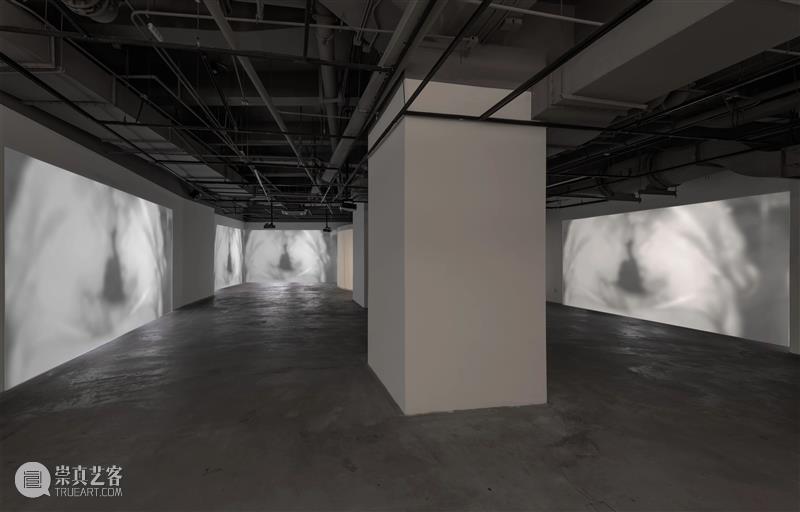没顶画廊2022年度回顾 | 艺术家在机构的重要展览 崇真艺客