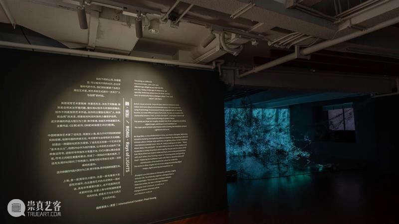 展览在外滩被“刷屏”的节奏 让人一点都不意外 | 国家美术·焦点 崇真艺客