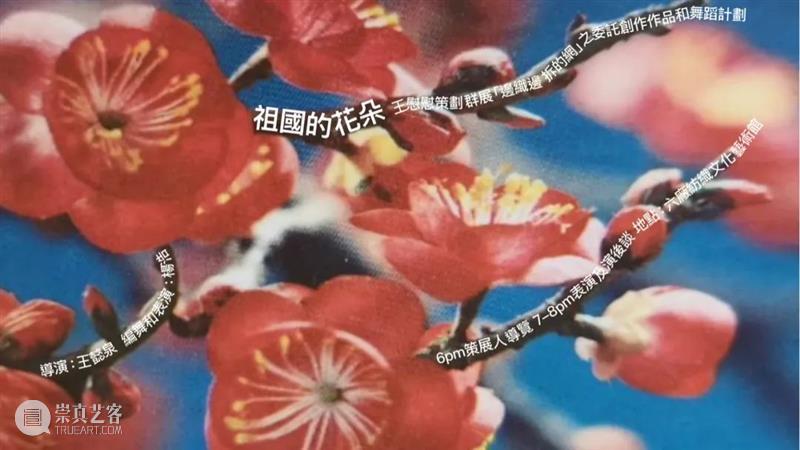 会员动态｜王懿泉的流水账 2022 崇真艺客