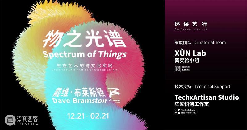 巽美术馆年终回顾|在我们生存的土壤之上 崇真艺客
