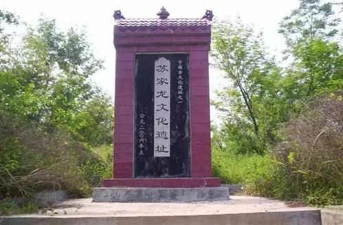 彰显诸侯王尊贵——湖北苏家陇青铜器 崇真艺客